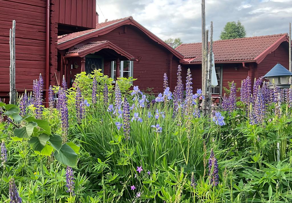 Säljarnas sommarbilder.