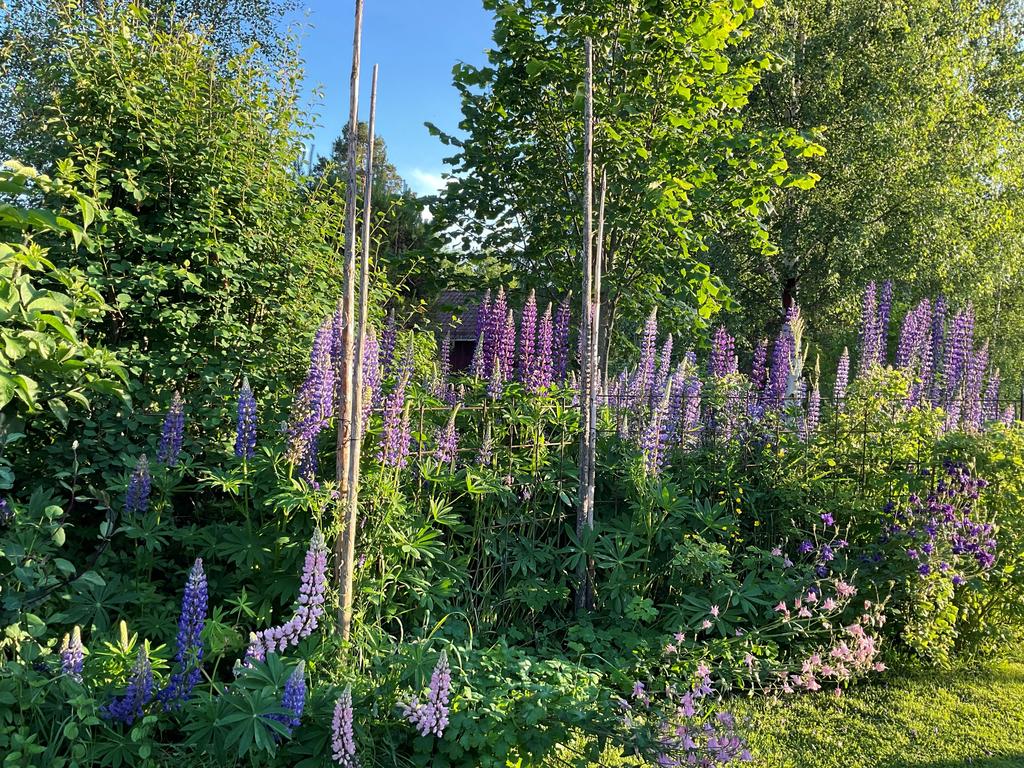 Säljarnas sommarbilder.