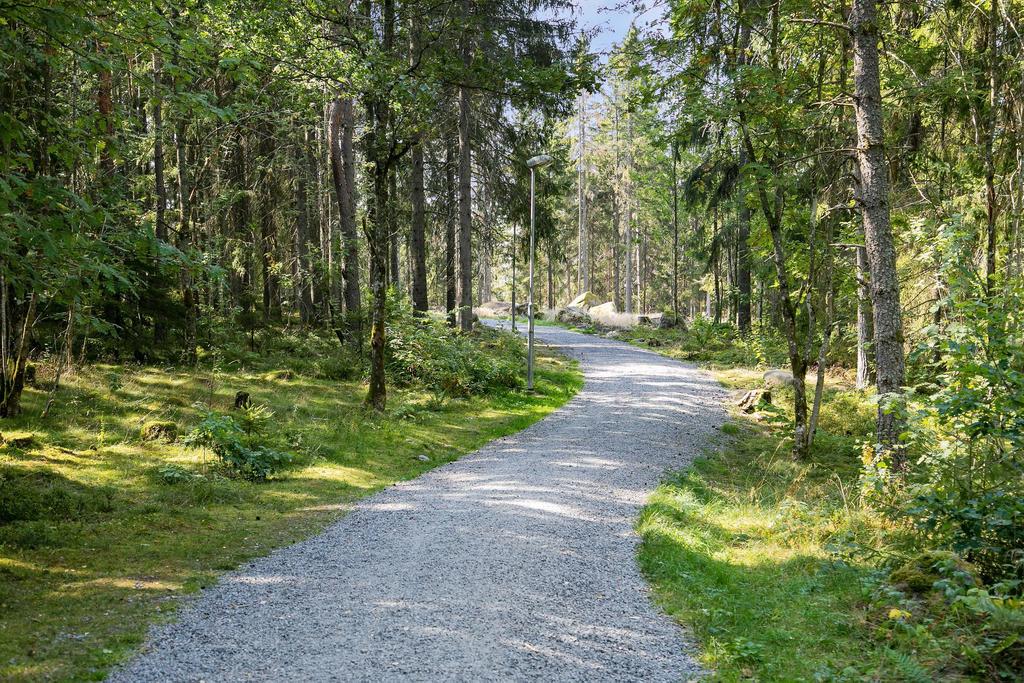 Motionsspåret på andra sidan vägen