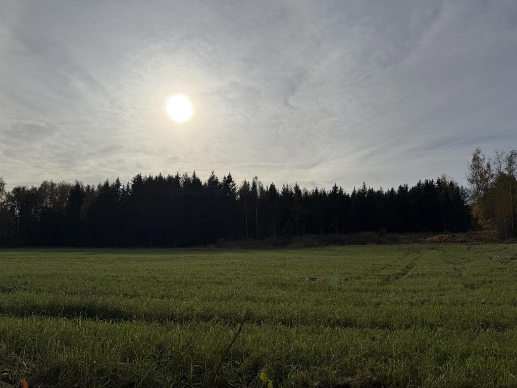 Utsikt över åker