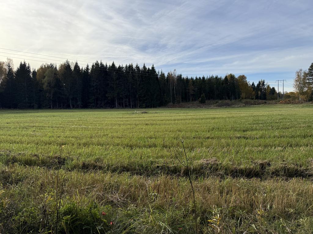 Utsikt från tomt
