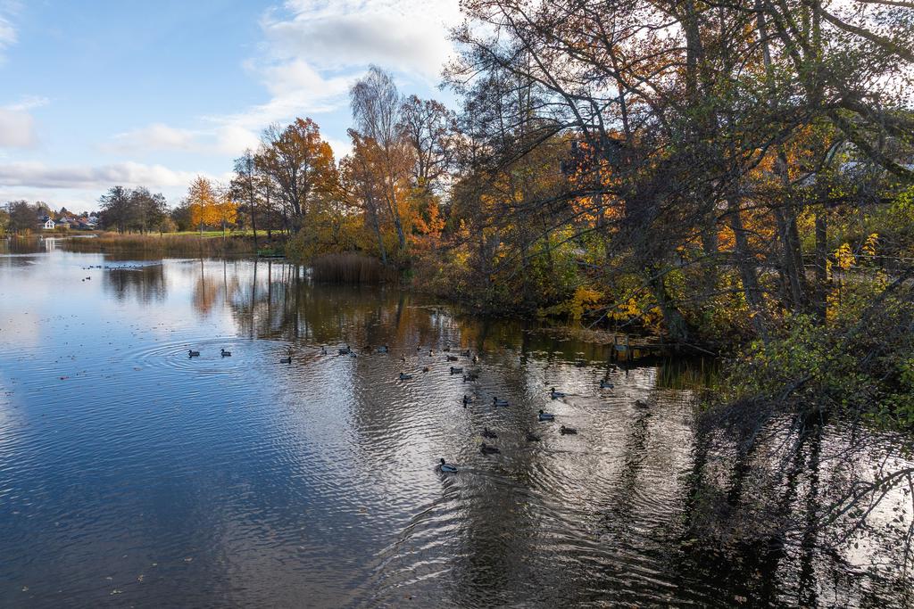 Del i brygga vid Stångån