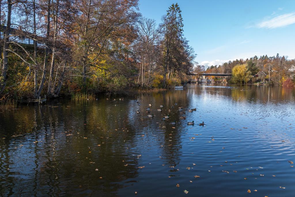 Del i brygga vid Stångån