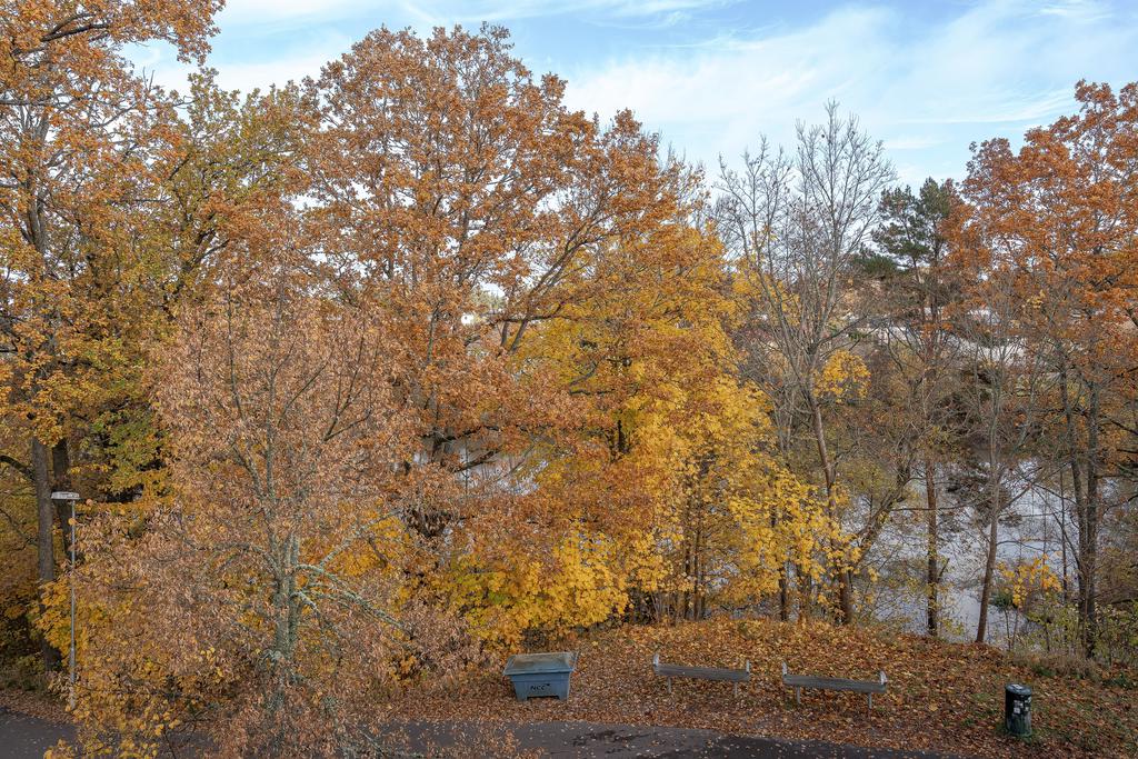 Fin vy över Tinnerbäcken