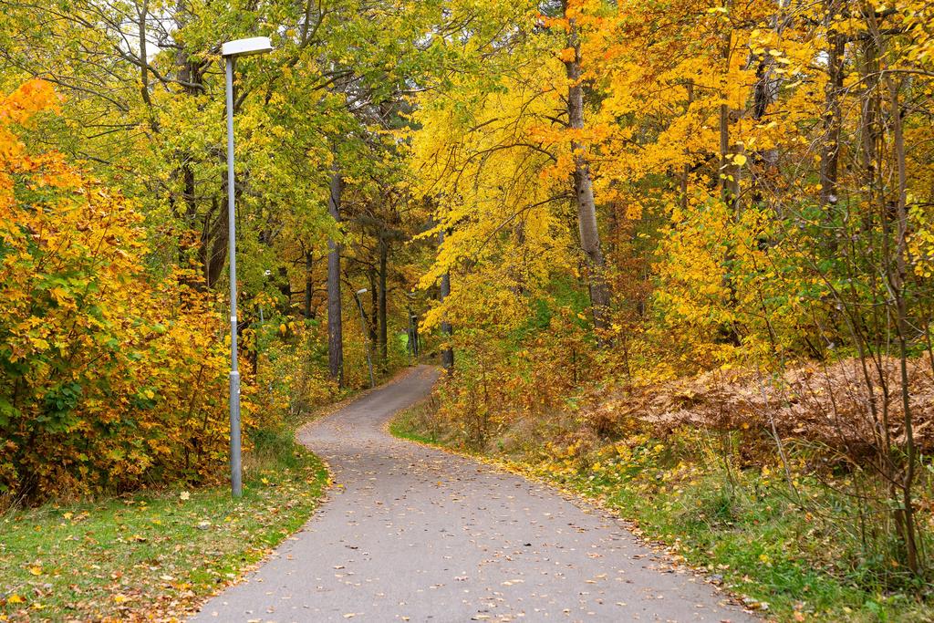 Fin cykelväg till city