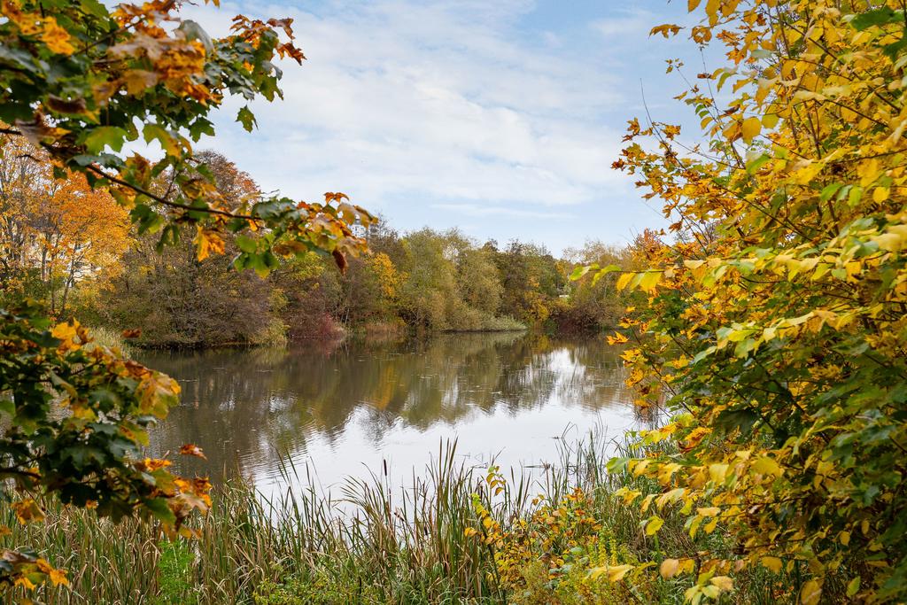 Vackra Tinnerbäcken precis intill