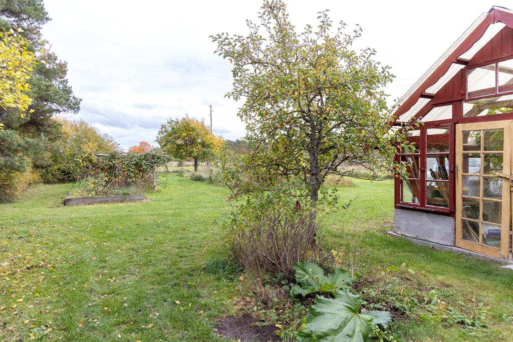 Orangeri och del av tomten