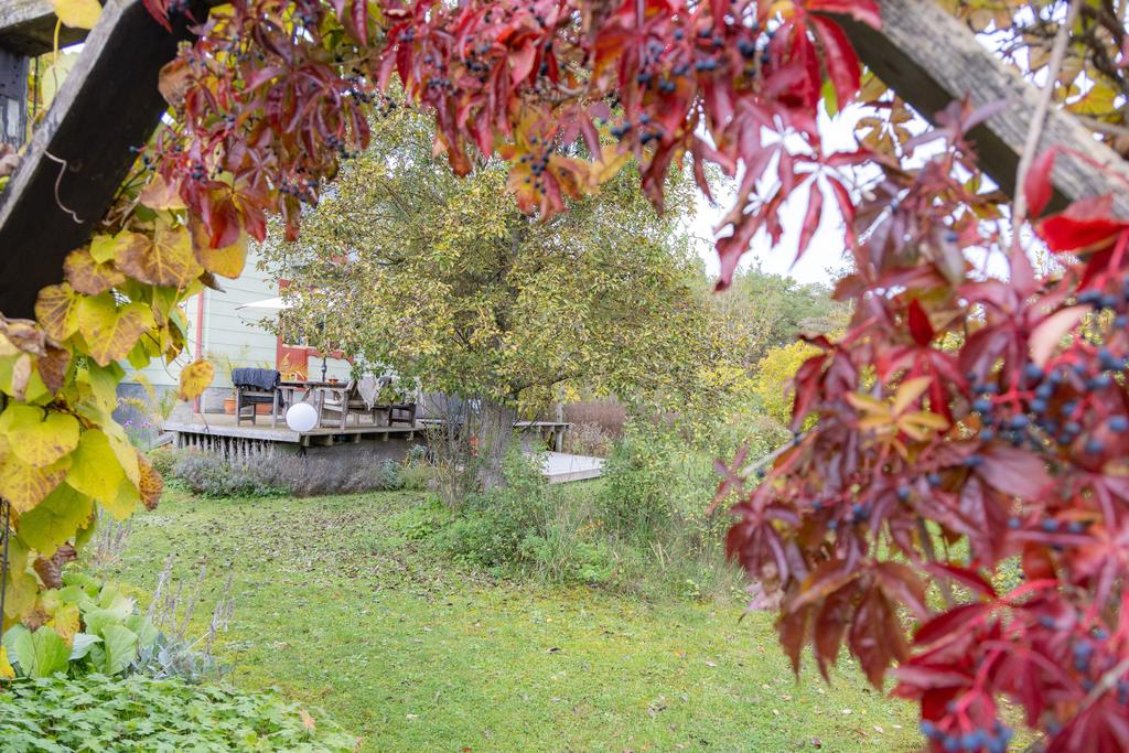 Trädgård mot altan