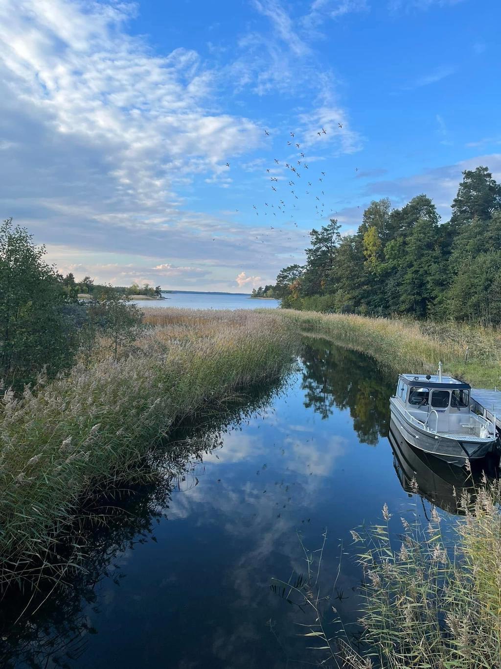 Säljarens egna bild