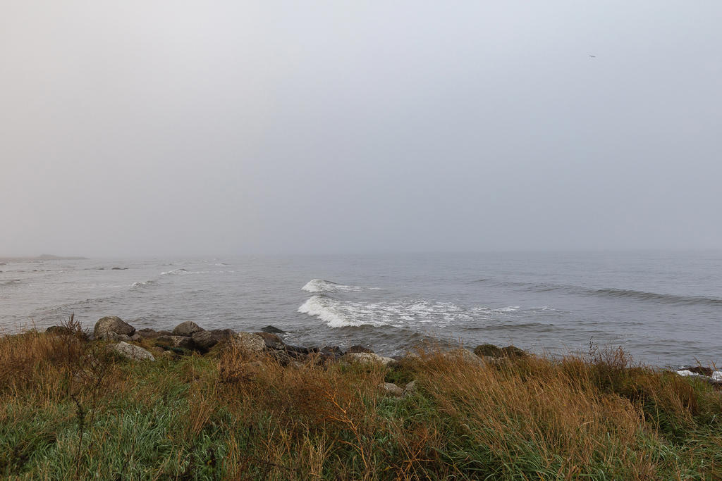 Spännande mystik vid havet!