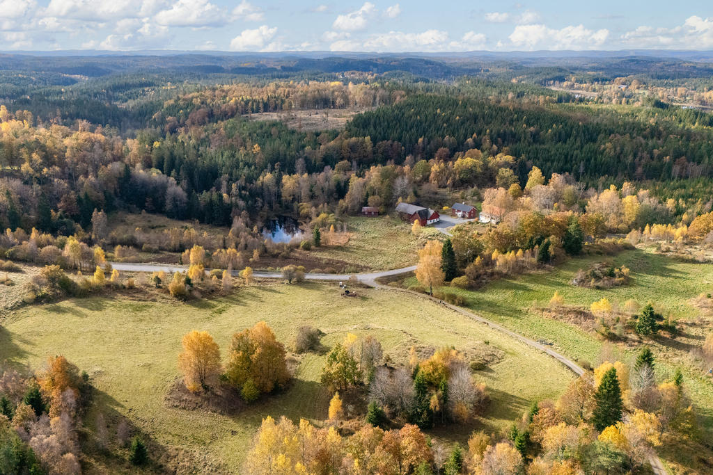 4 ha hage med framdraget vatten från sjön.