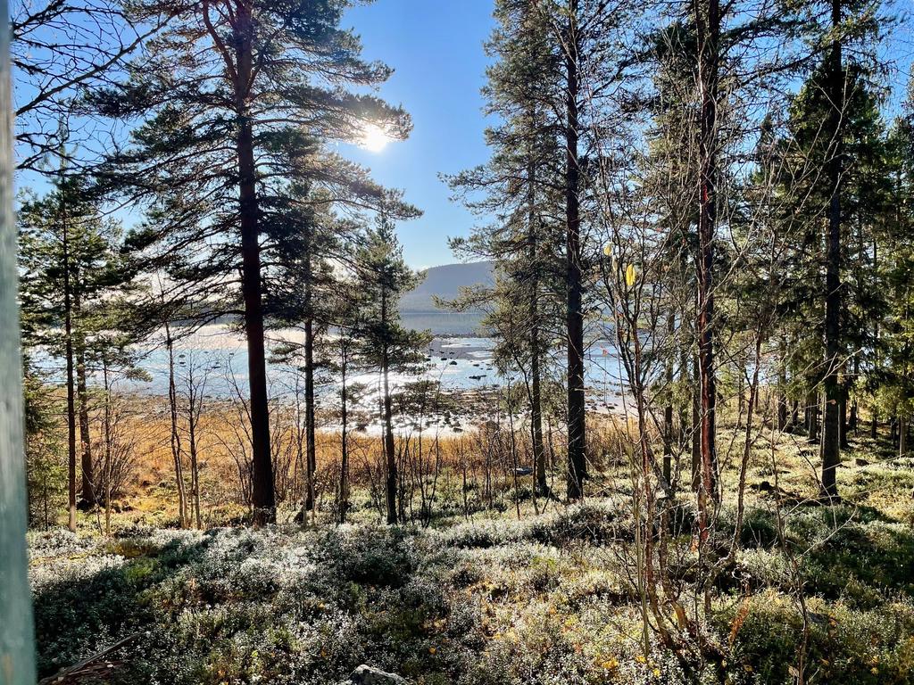 Fint läge