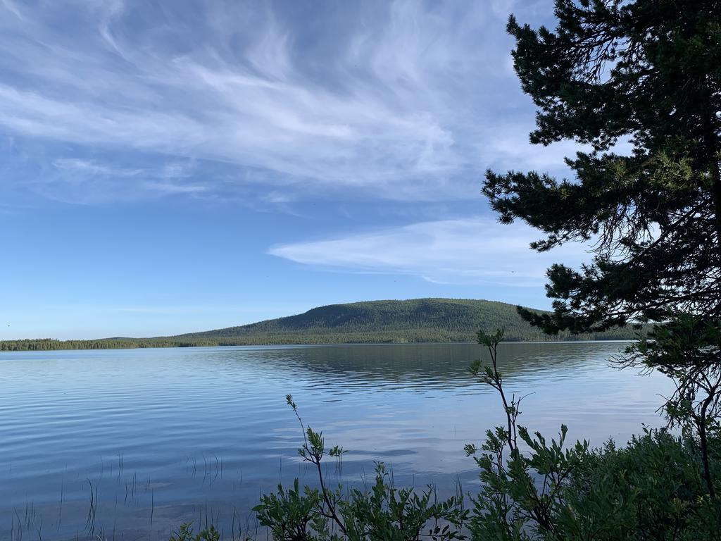 Säljarens sommarbild
