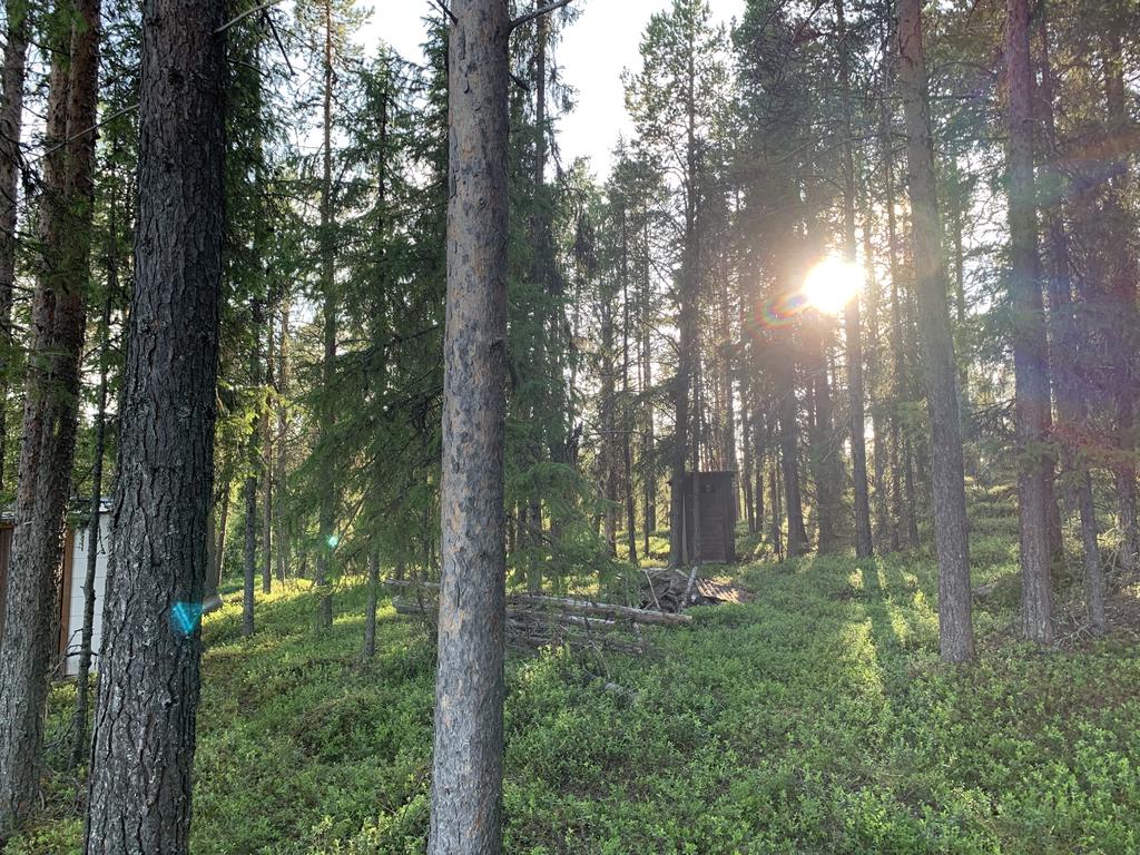 Säljarens sommarbild