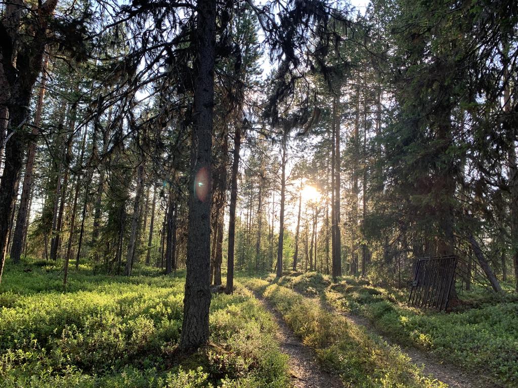 Säljarens sommarbild