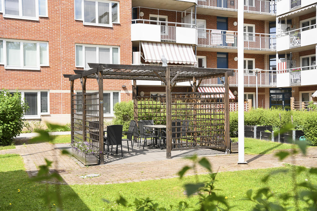 Föreningens gemensamma uteplats 2024 