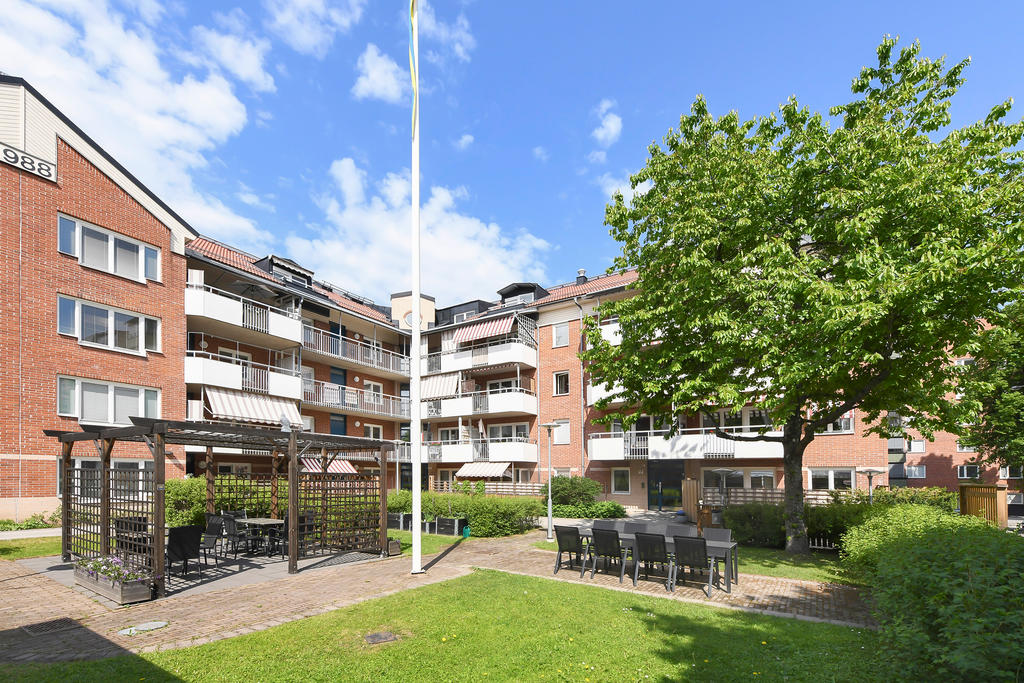 Föreningens gemensamma uteplats 2024 