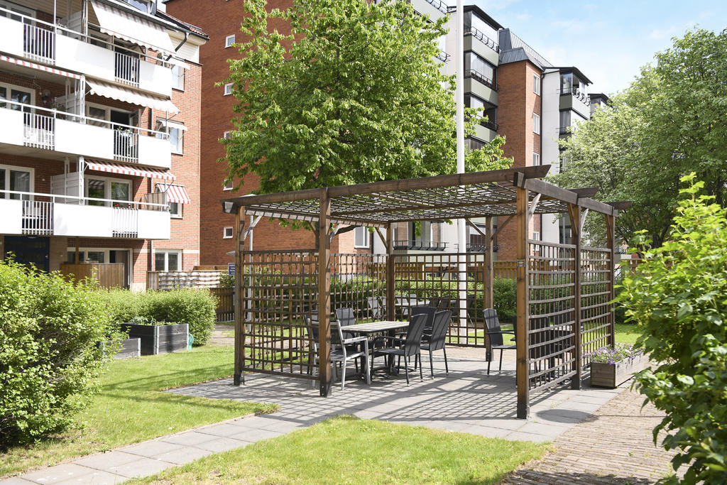 Föreningens gemensamma uteplats 2024