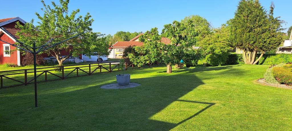 Säljarens sommarbild