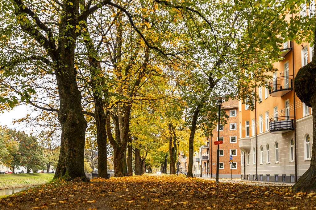 Fina prommenadstråk