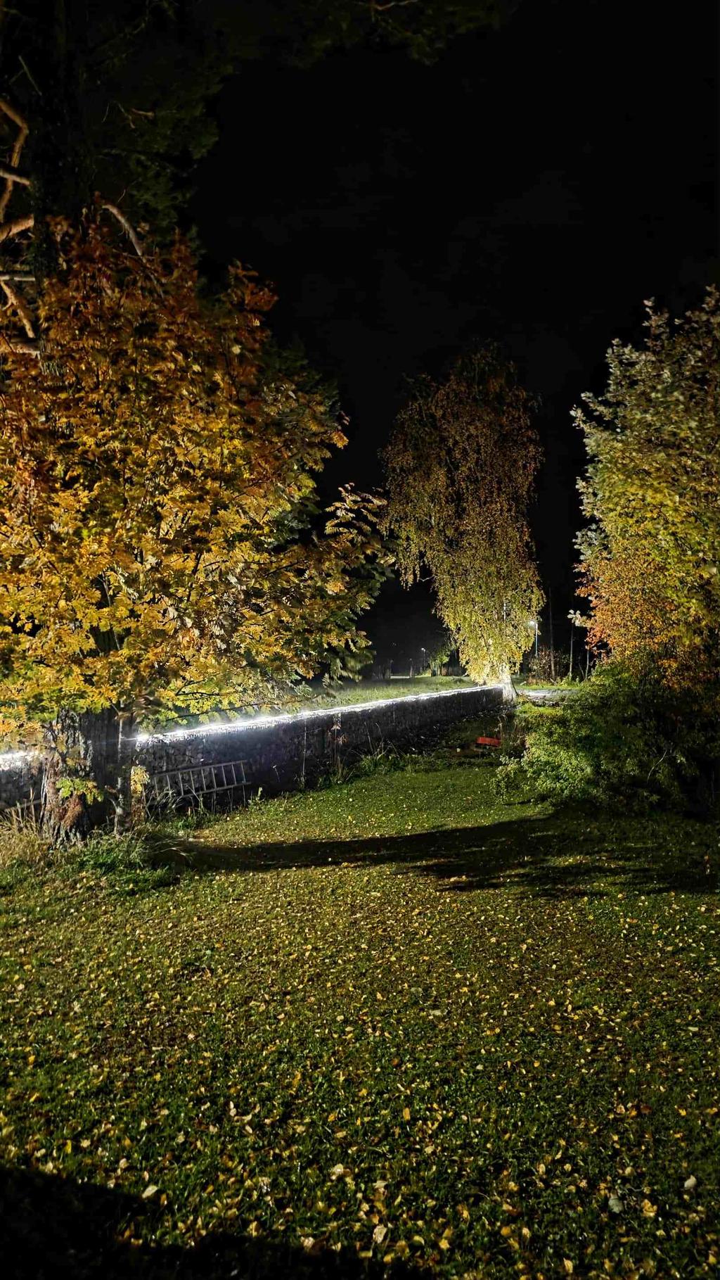 Säljarens egna bild