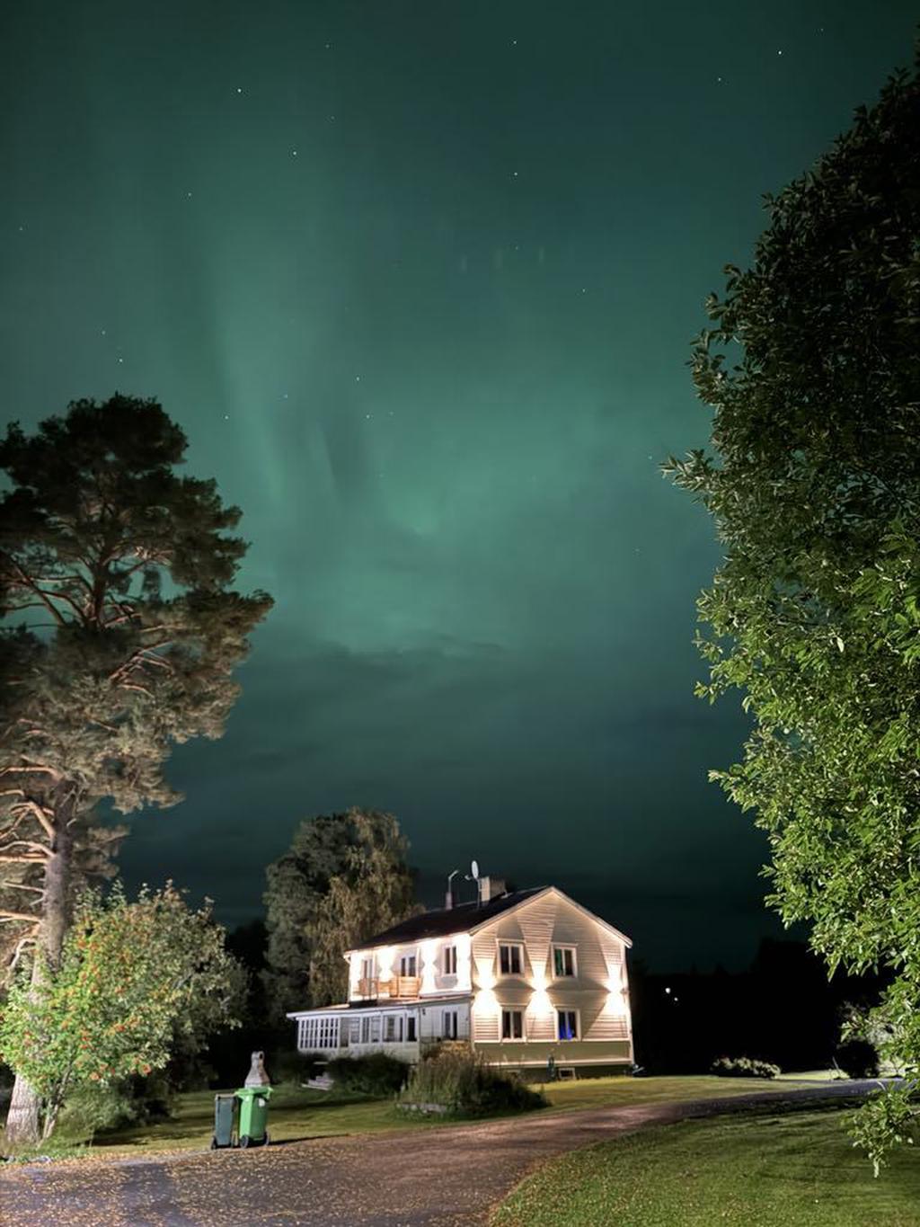 Säljarens egna bild
