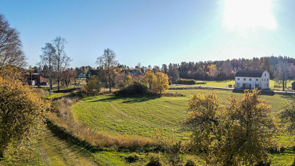 Gräsyta att odla på