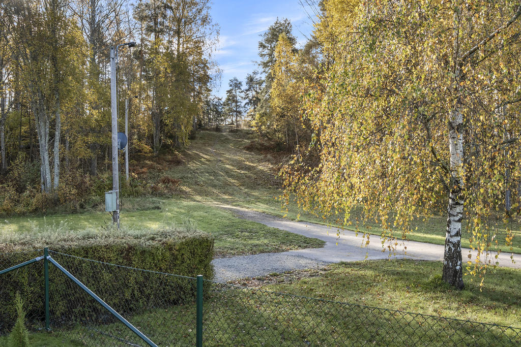 Nära skogspromenader