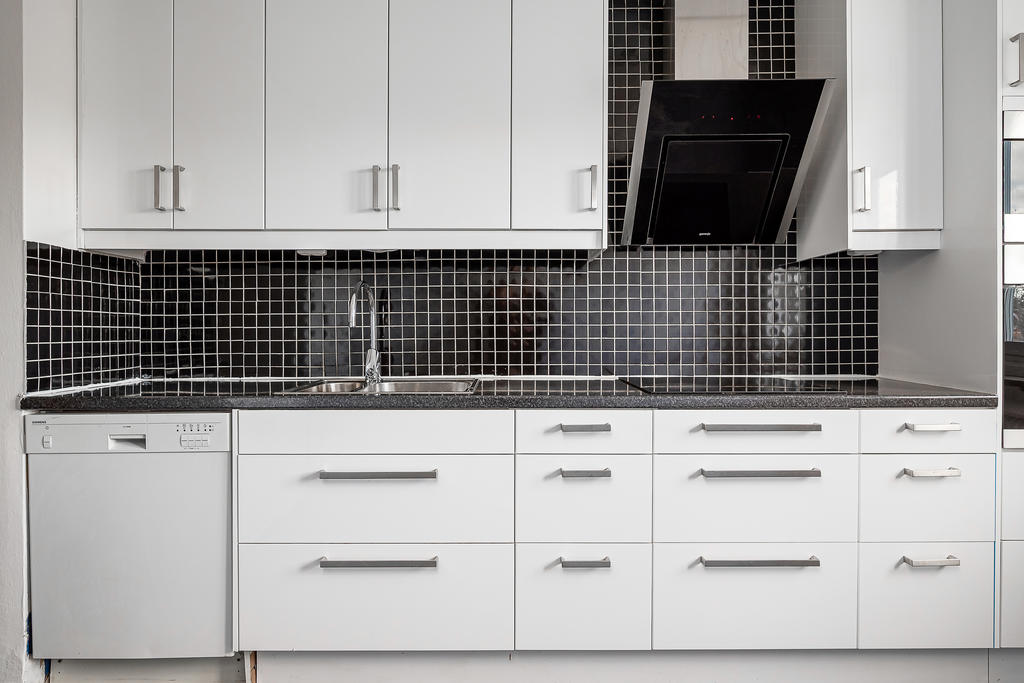 Diskmaskin, dubbelho, induktionshäll och snedställd köksfläkt