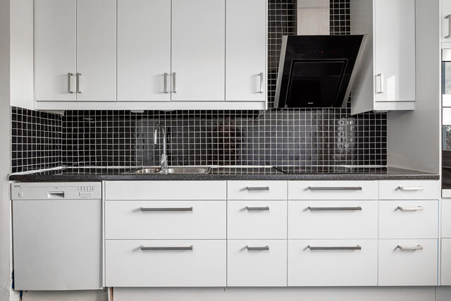 Diskmaskin, dubbelho, induktionshäll och snedställd köksfläkt