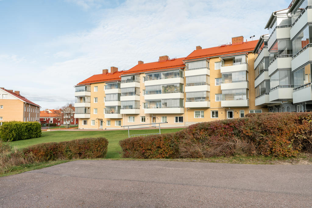 Baksida huset