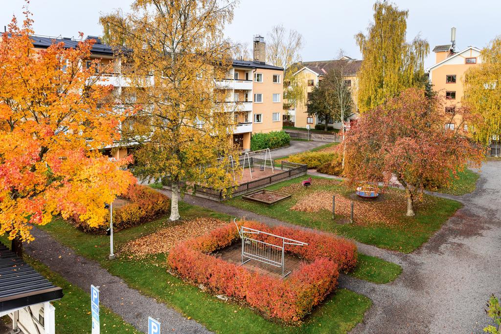 Vacker vy över gården