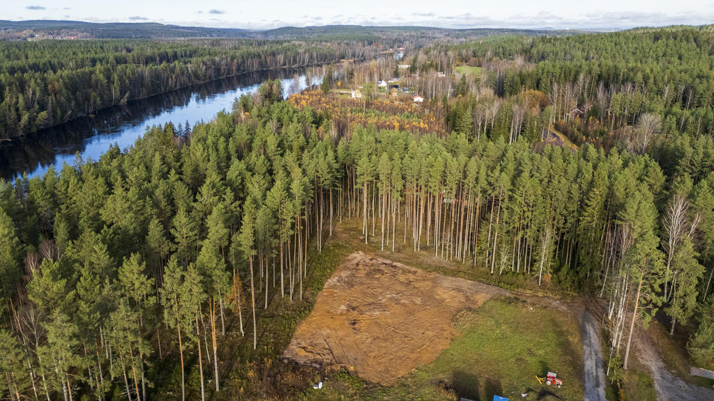 Botorpsheden