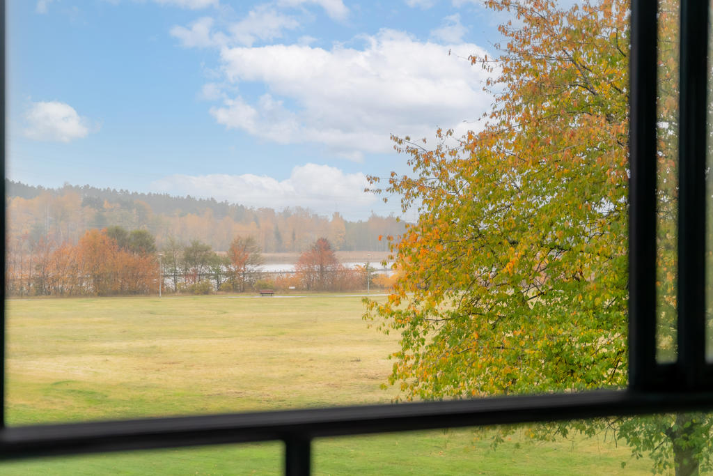 Utsikt till grönområden och vatten.