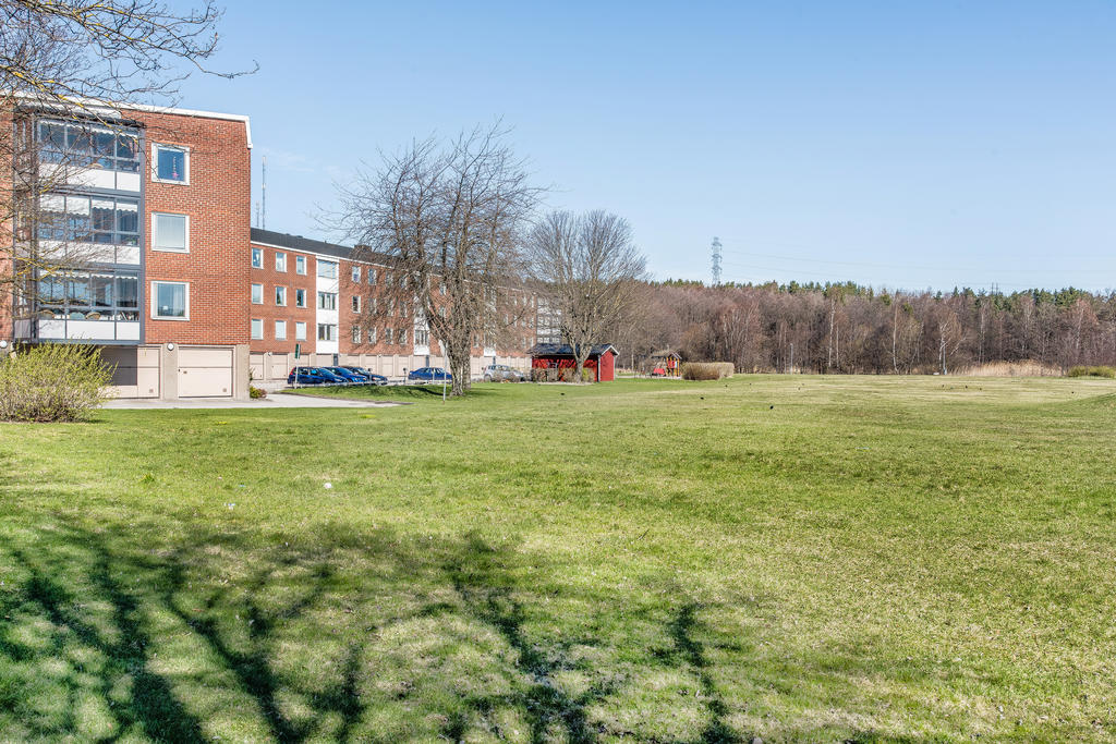 Stora grönområdet precis utanför byggnaden