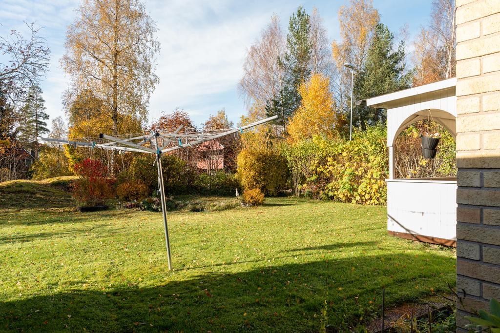 Baksidan trädgård