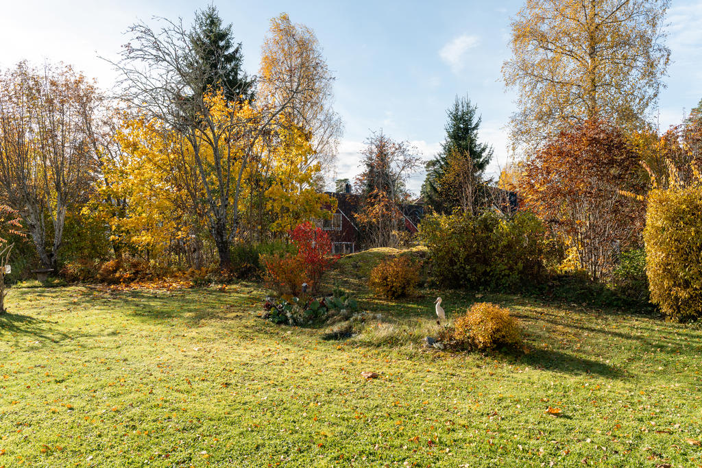 Trädgård