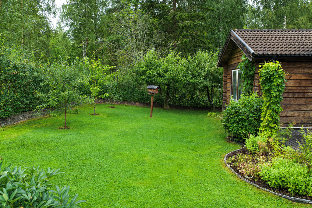 Del av trädgård. 