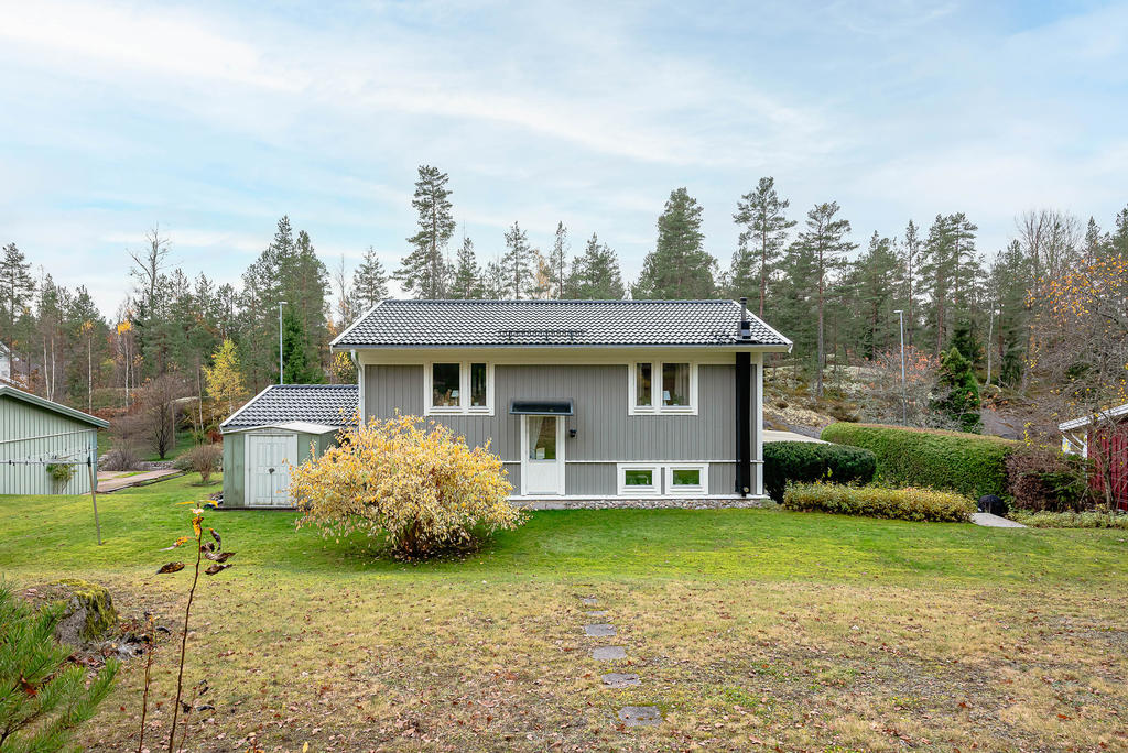 Från skogen på baksidan