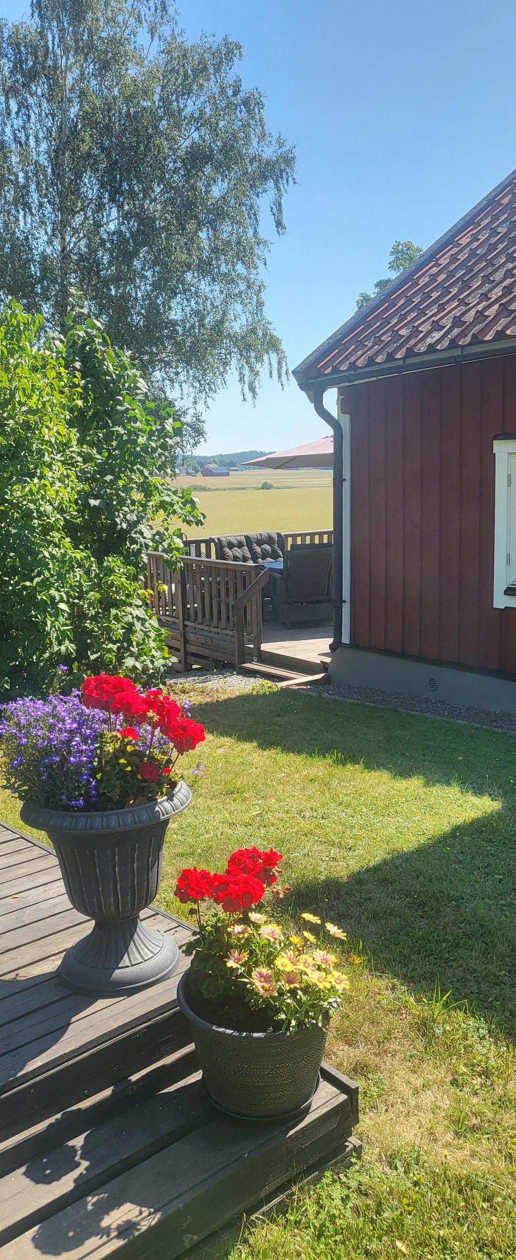 Säljarnas sommarbild
