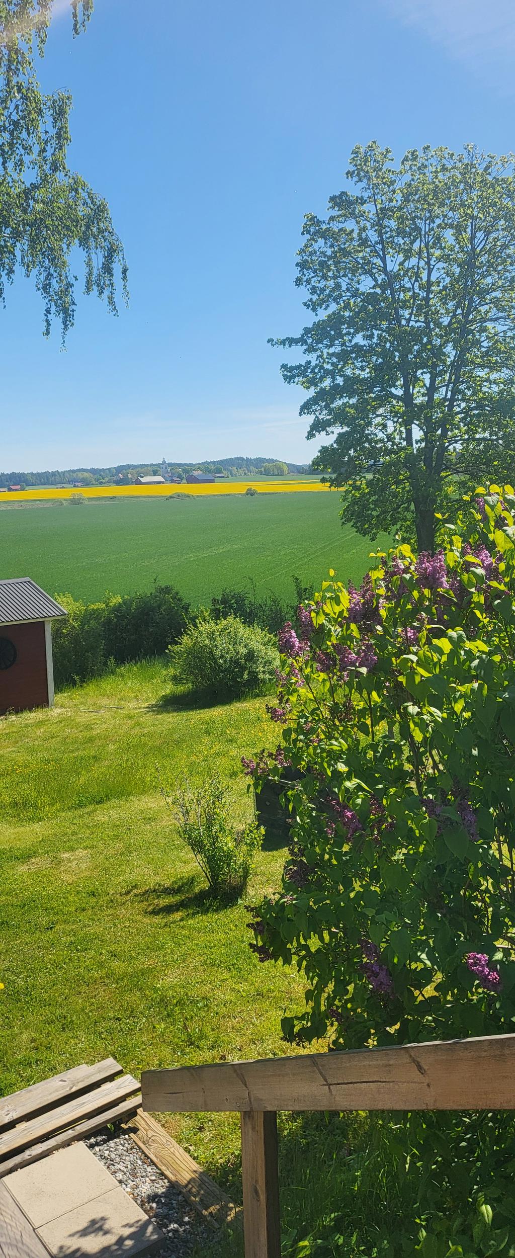 Säljarnas sommarbild med vy över fälten