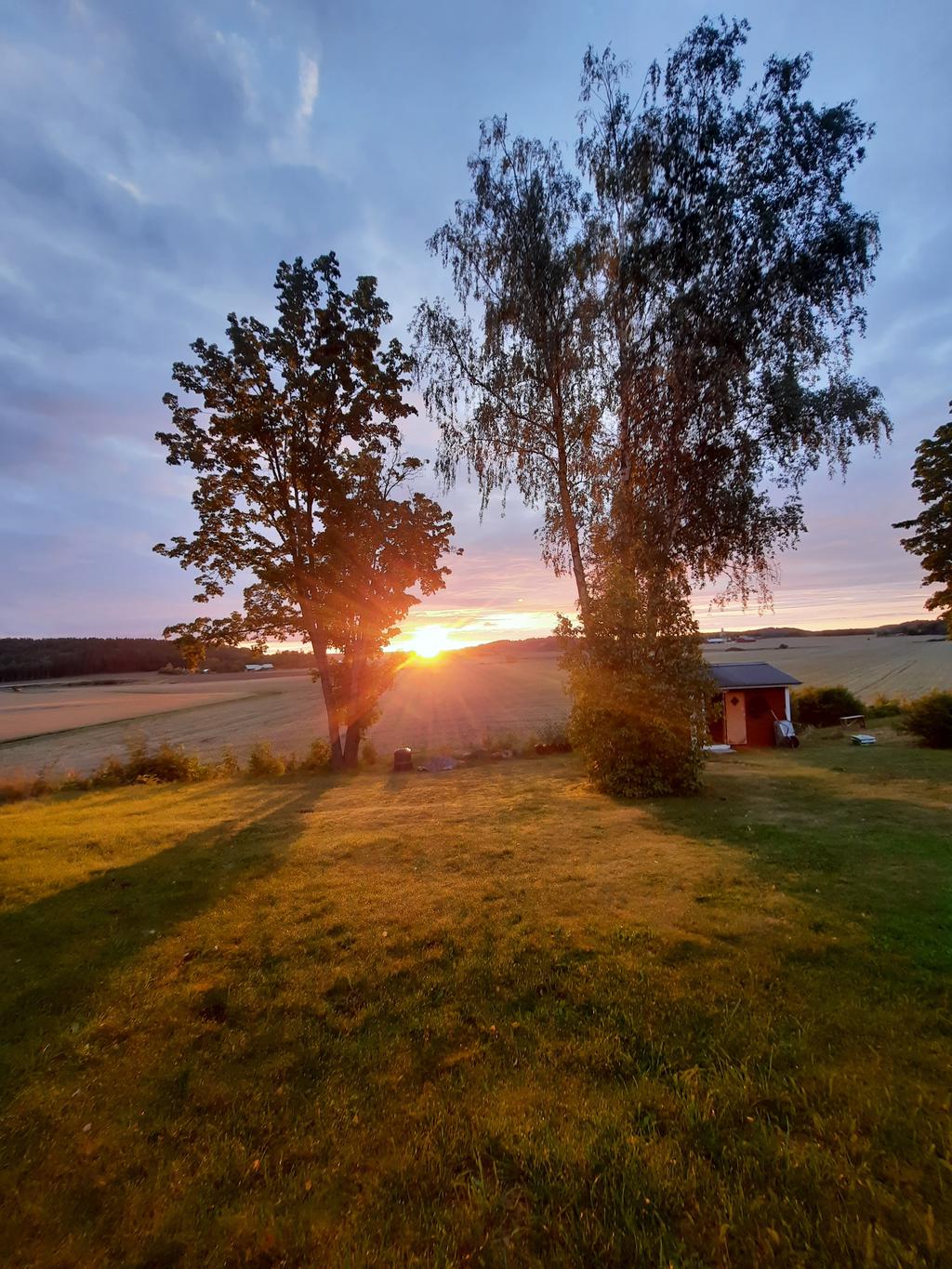 Fantastiska soluppgångar