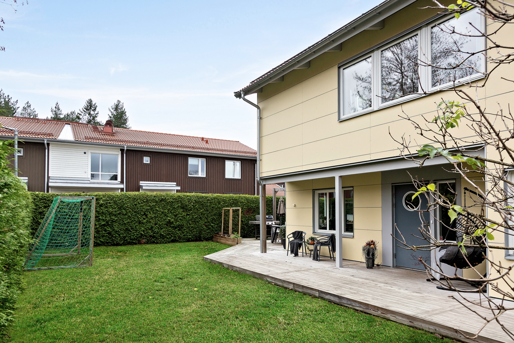 Trädgård i söderläge