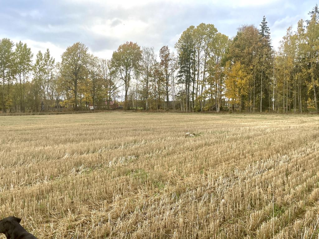 Åkermark