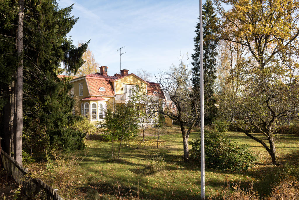 Trädgård.