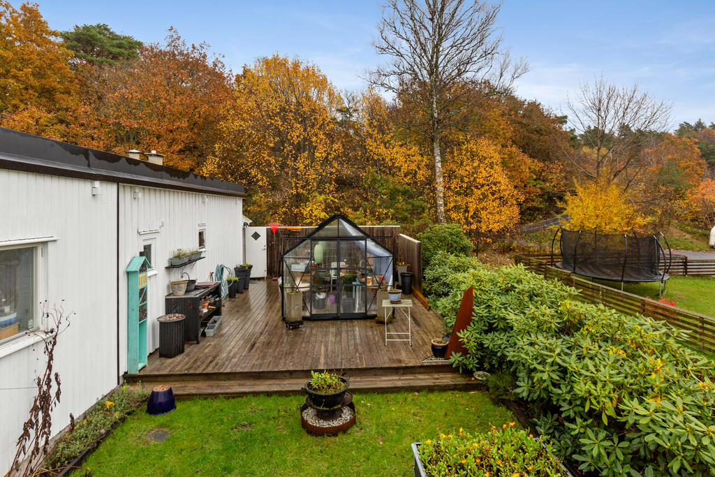 Altan, gräsmatta och växthus.