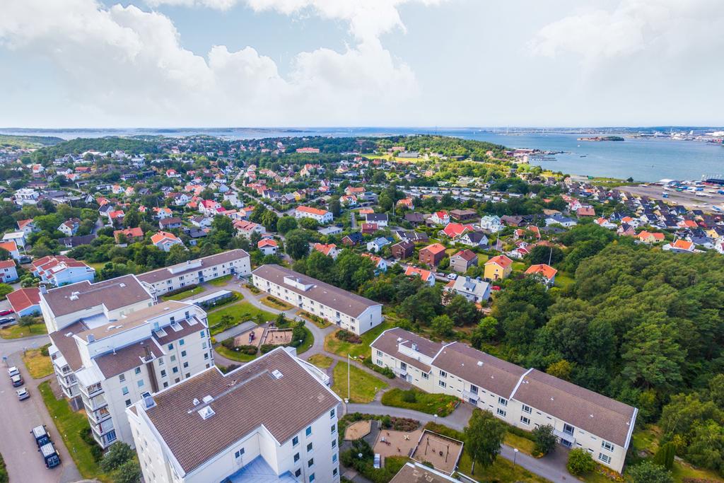 Utsiktsbild över området