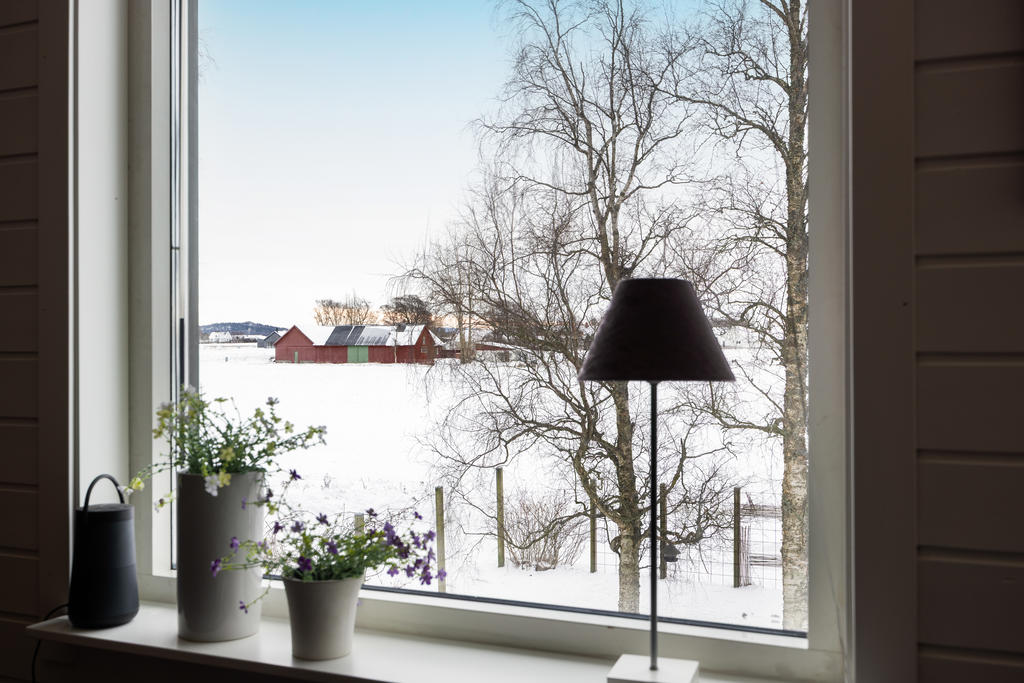 Vy från allrum 
