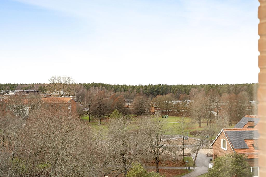 Utsikt över Rydskogen 