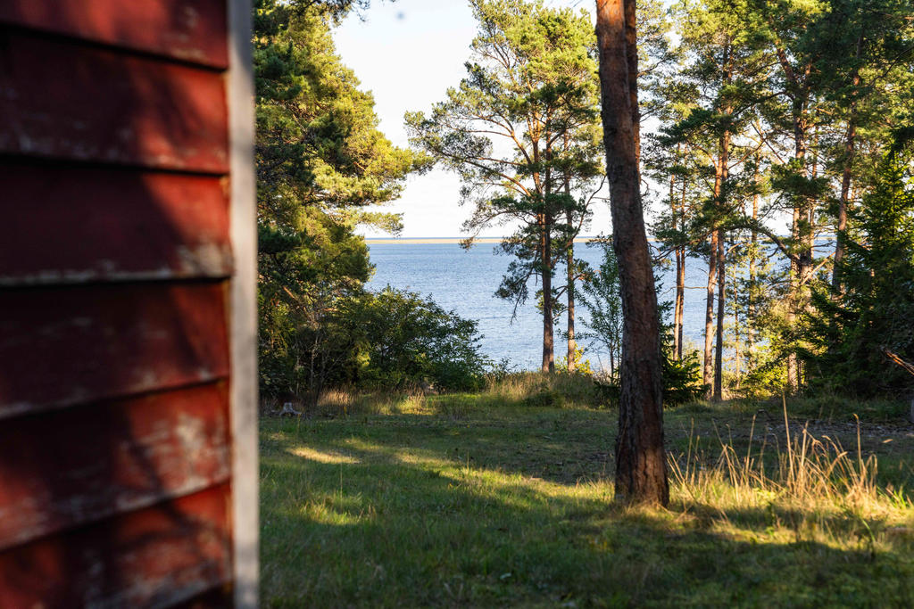 Utsikt från tomt